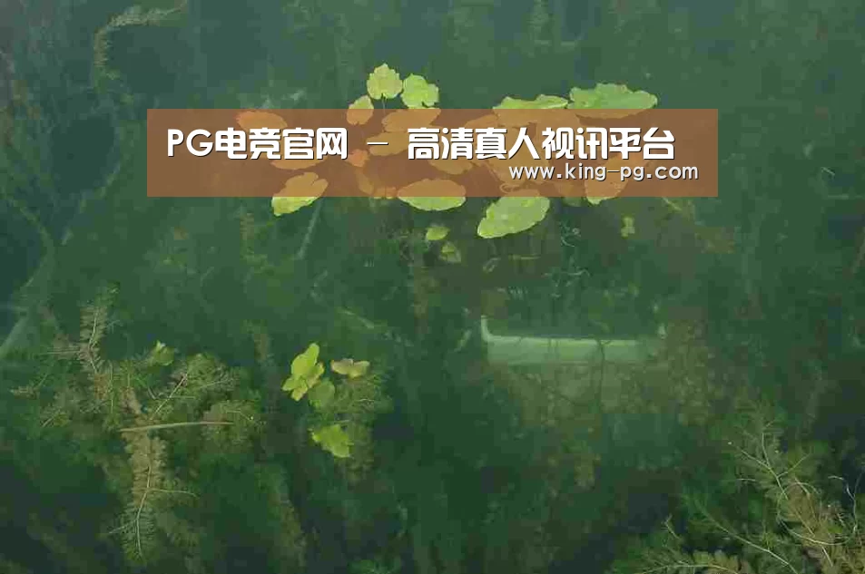 案例展示三(图1)
