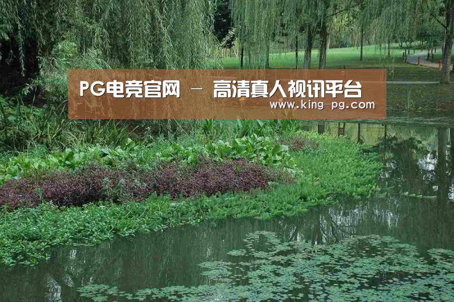 案例展示一(图1)