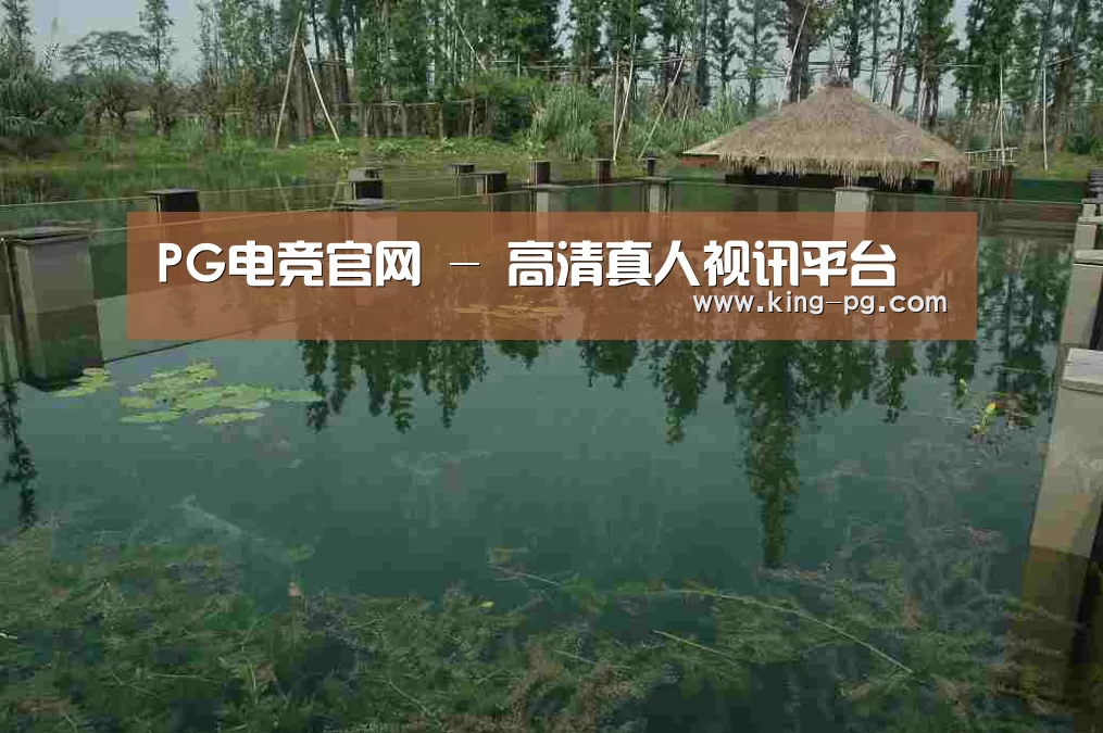 案例展示二(图1)