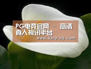 产品名称七