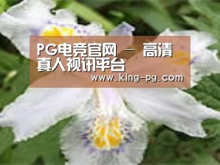 产品名称二
