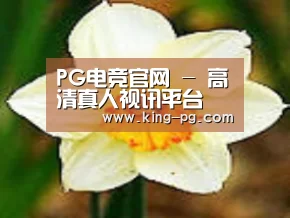 产品名称四