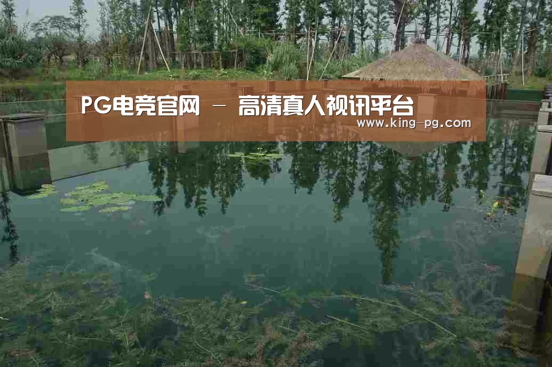 案例展示二