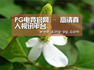 产品名称三