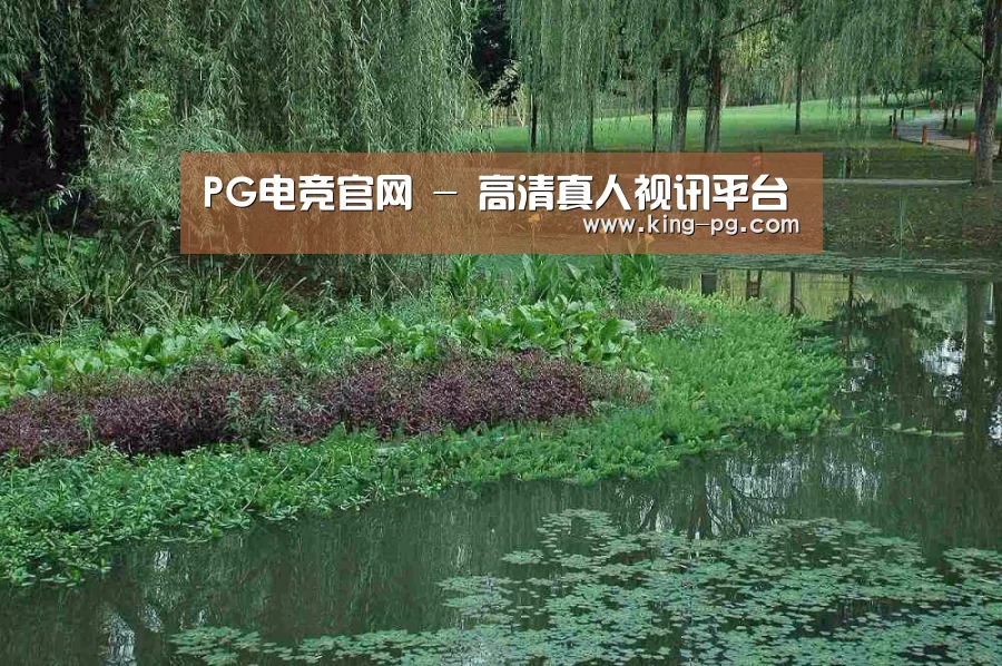 案例展示一
