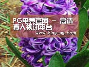 产品名称八