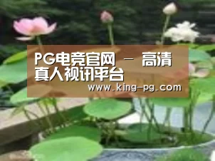 产品名称一