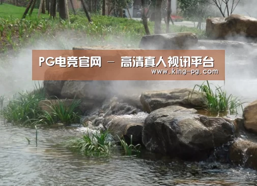 案例展示五
