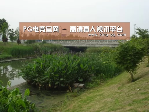 案例展示四