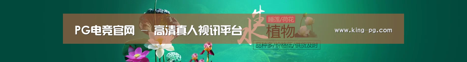 鲜花水草花卉网站模板