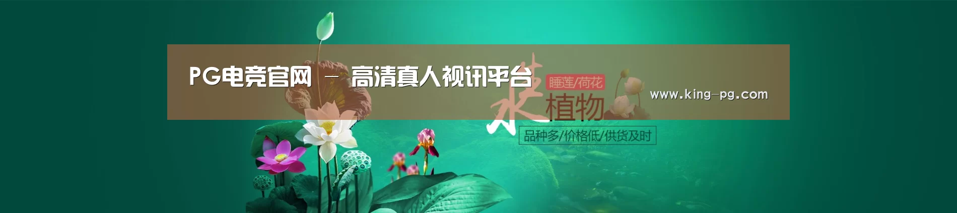 鲜花水草花卉网站模板