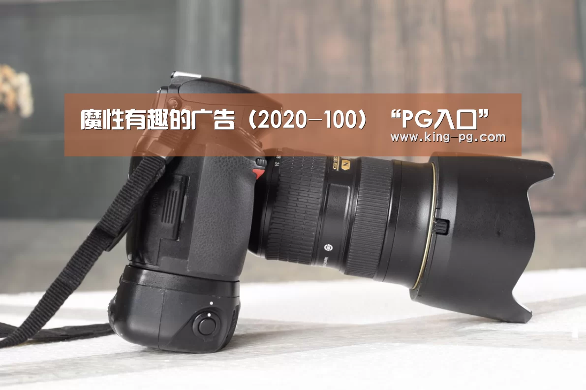 PG入口