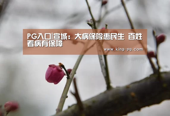 PG入口|宣城:大病保险惠民生 百姓看病有保障(图1) PG电竞APP