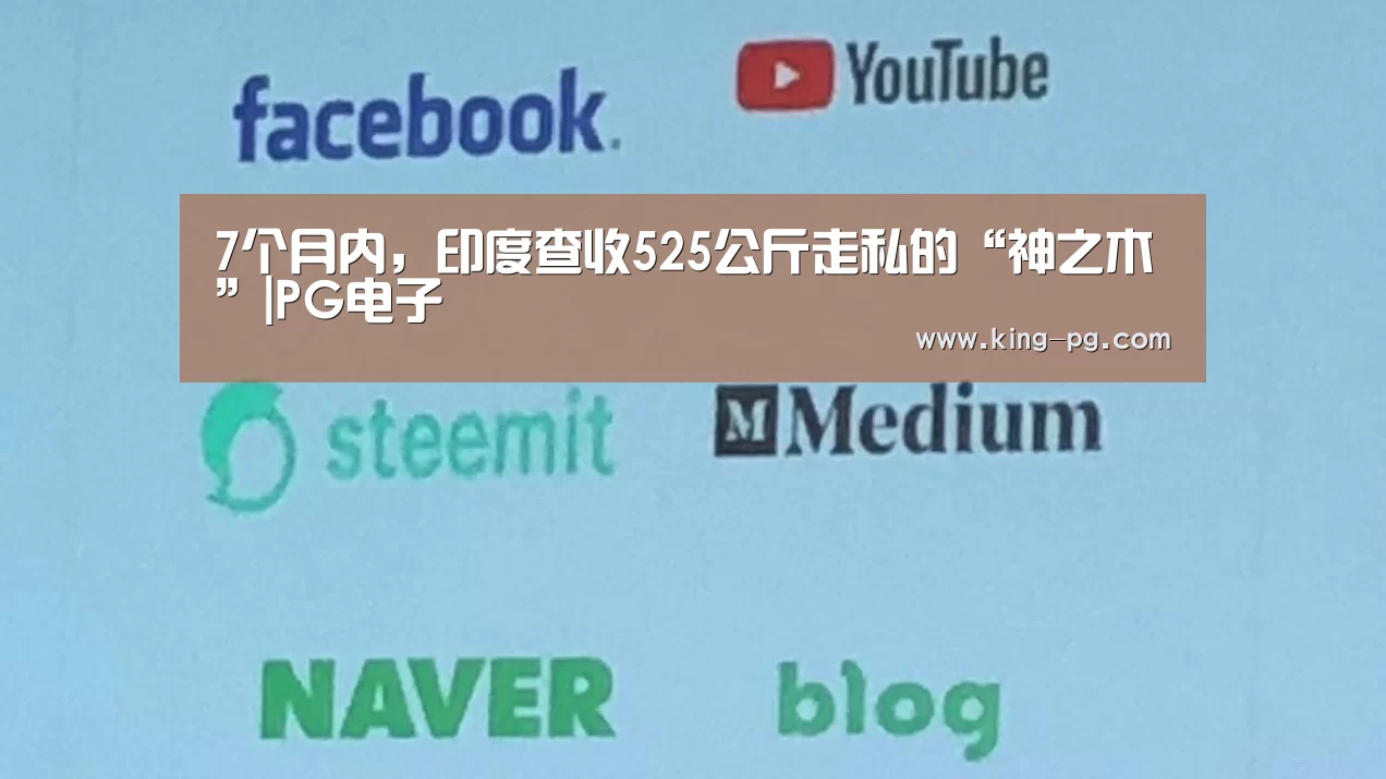 7个月内,印度查收525公斤走私的“神之木”|PG电子(图1) PG电竞APP