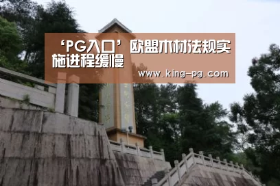 PG入口