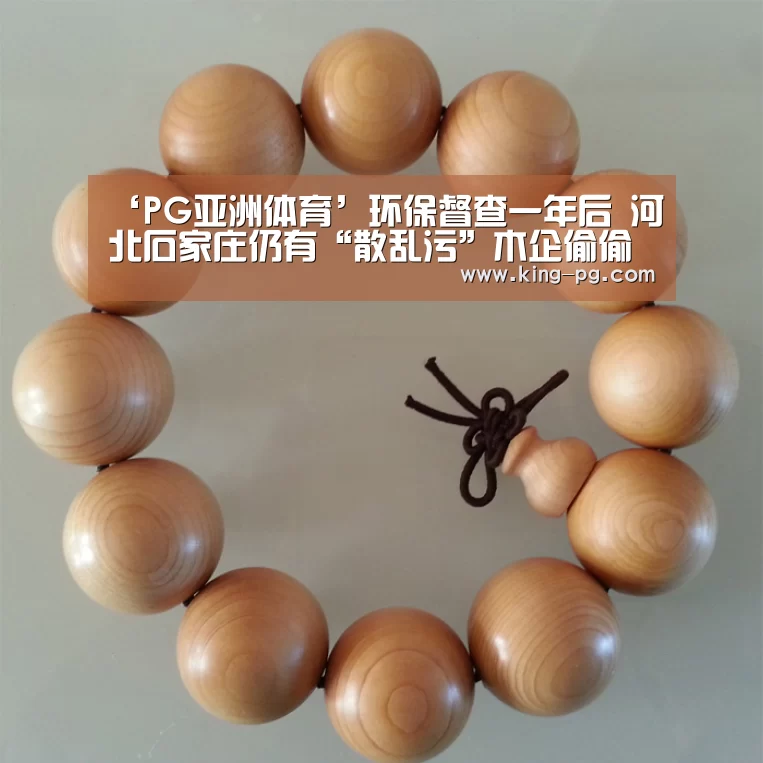 ‘PG亚洲体育’环保督查一年后 河北石家庄仍有“散乱污”木企偷偷开工生产(图1) PG电竞APP