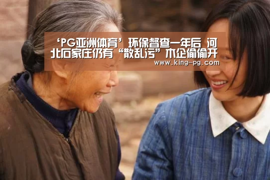 ‘PG亚洲体育’环保督查一年后 河北石家庄仍有“散乱污”木企偷偷开工生产(图2) PG电竞APP