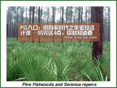 PG入口:低利率时代之年金投资计谋--扒完这4点,你就知道要不要买年金险(图3) PG入口