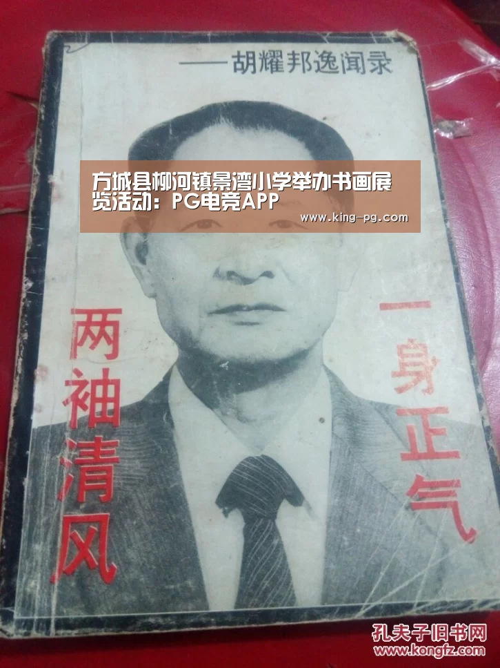 方城县柳河镇景湾小学举办书画展览活动:PG电竞APP(图4) PG入口
