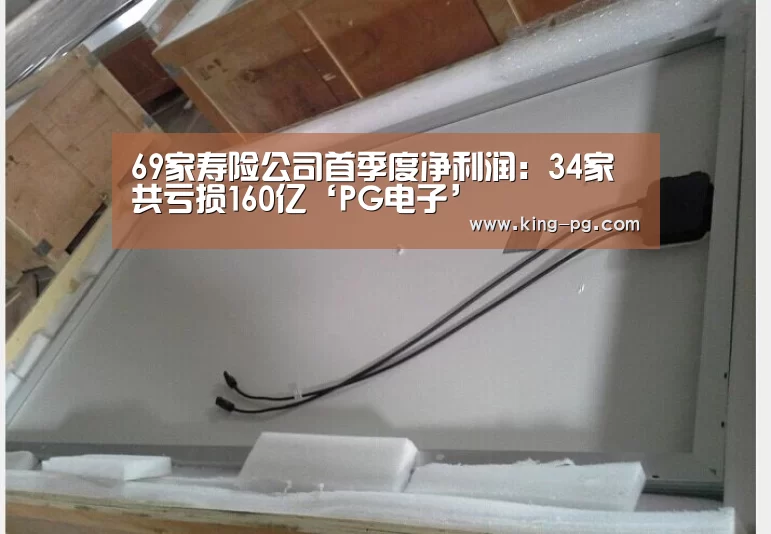 69家寿险公司首季度净利润:34家共亏损160亿‘PG电子’(图2) PG亚洲体育