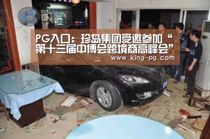 PG入口:珍岛集团受邀参加“第十三届中博会跨境商高峰会”(图1) PG电竞APP