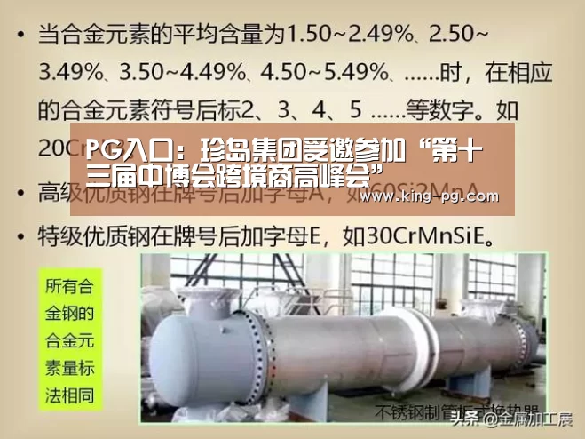 PG入口:珍岛集团受邀参加“第十三届中博会跨境商高峰会”(图3) PG入口