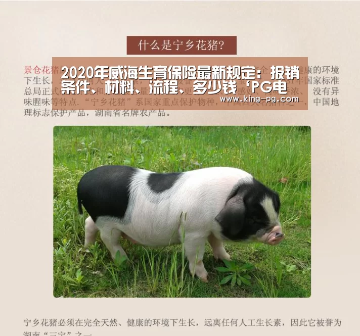 2020年威海生育保险最新规定:报销条件、材料、流程、多少钱‘PG电竞APP’(图2) PG入口