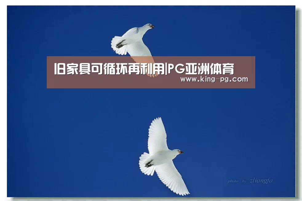 旧家具可循环再利用|PG亚洲体育(图2) PG入口