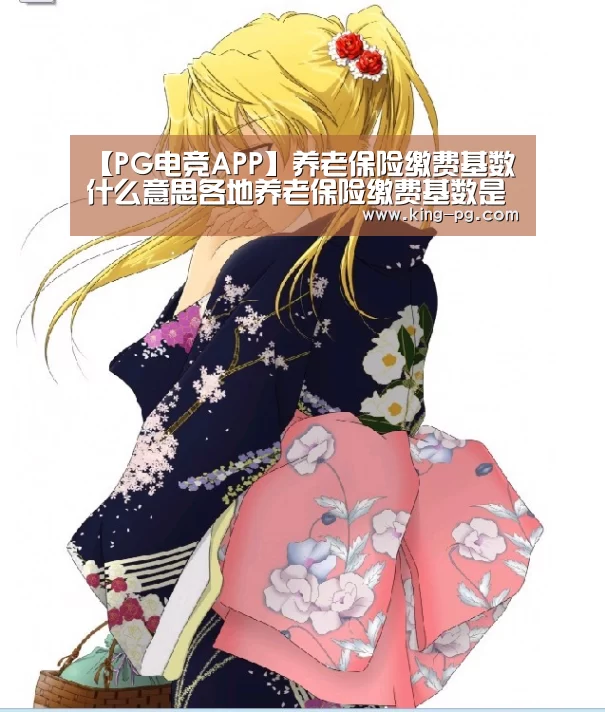 【PG电竞APP】养老保险缴费基数什么意思各地养老保险缴费基数是多少(图4) PG电子